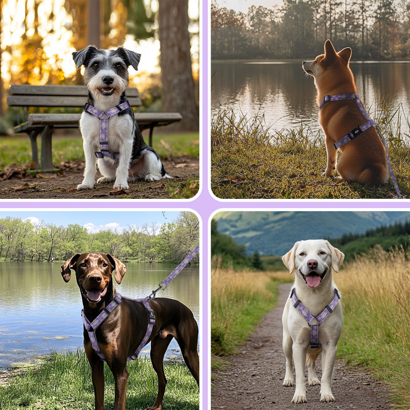 Dog Harness Leash Set, No Pull Adjustable Halter Cute Comfort Padded Handle for Medium Sized Large Small Dogs Walking Training Running with Reflective（XSmall,Purple） Purple XSmall - PawsPlanet Australia