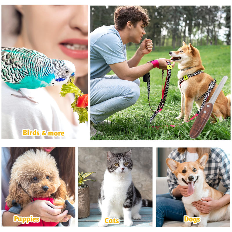 Dog Nail File Diamond Finish Nail File for Dogs Cats Professional Pet Nails Filer with Wood Handle Shape and Smooth All Toenail Types Nails Grooming Tool Polish Off Rough Edges Safe Effective - PawsPlanet Australia