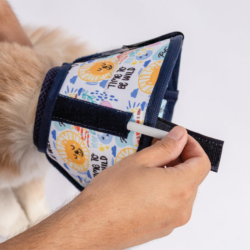 Cat Cone Collar – Colorful Cat Pattern - Lightweight Recovery Cone for Cats, Anti-Lick & Anti-Scratch, Vet Recommended, Elizabethan Collar (Colorful, XXS Long [Neck Girth: 7.5"-10.3"]) XXS Long [Neck Girth: 7.5"-10.3"]