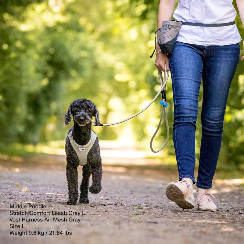 Stretch Comfort Leash Ruby M