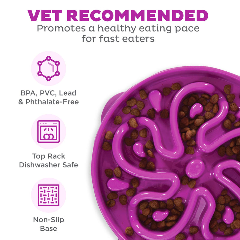 Outward Hound Fun Feeder Slo Bowl, Large Slow Feeder Dog Bowl, 4 Cups, Purple - PawsPlanet Australia