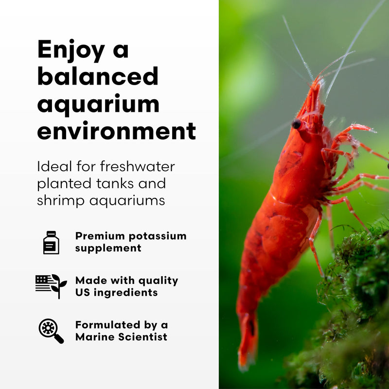 Brightwell Aquatics Florin-K High-Purity Potassium Supplement for Freshwater Aquariums Supports Photosynthesis, Growth & Enzyme Activation, Shrimp Safe, 500 ml 500-ml