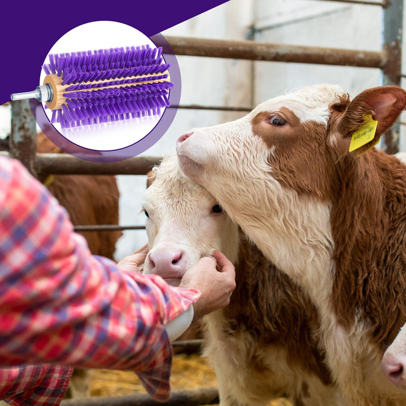 2 Pcs 5.35 inches Livestock Mini Drill Scratch Brush Purple Brush Grooming Kit Suitable for Cattle, Cows, Horses, Sheep and Pigs 5.35 Inch - PawsPlanet Australia