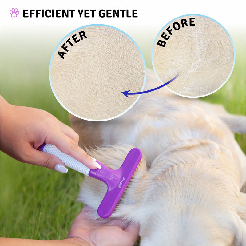 Poodle Pet Dog Grooming Rake + Large Slicker Brush Bundle - PawsPlanet Australia