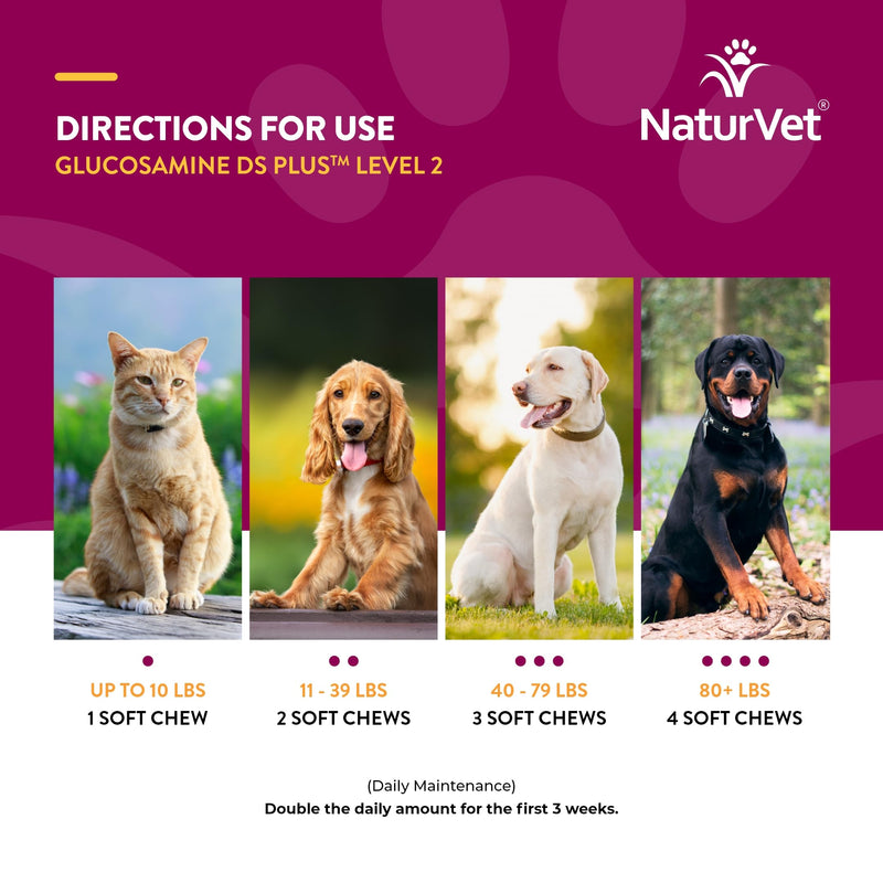 NaturVet – Glucosamine DS Plus - Level 2 Moderate Care – Supports Healthy Hip & Joint Function – Enhanced with Glucosamine, MSM & Chondroitin – for Dogs & Cats–120 Soft Chews Glucosamine-DS Level 2 120 Soft Chews