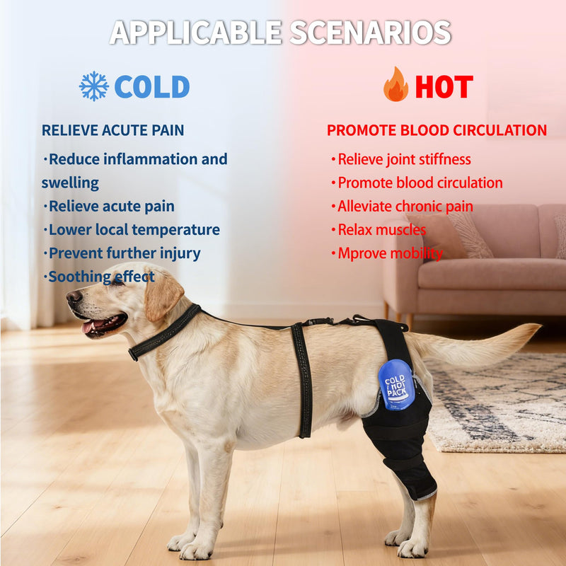 Dog Knee Braces for Back Leg, Dual-Use for Hot/Cold Compress Relieves Acute Joint Pain and ACL Injuries, Includes Removable Gel Ice Pack Suitable for Medium to Large Dogs, Right Leg M