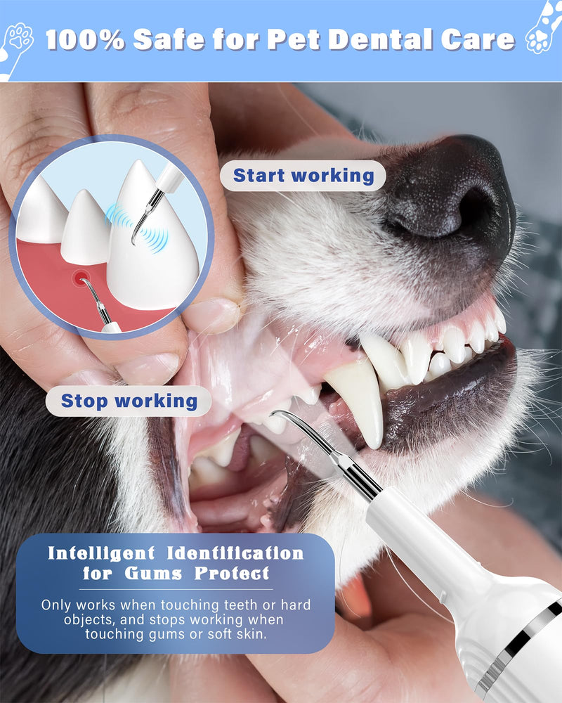 Plaque Remover for Teeth, Pet Tooth Brushing Kit, Dental Tools to Remove Plaque and Tartar, Safe for Dog and Cat, with LED Light, White - PawsPlanet Australia