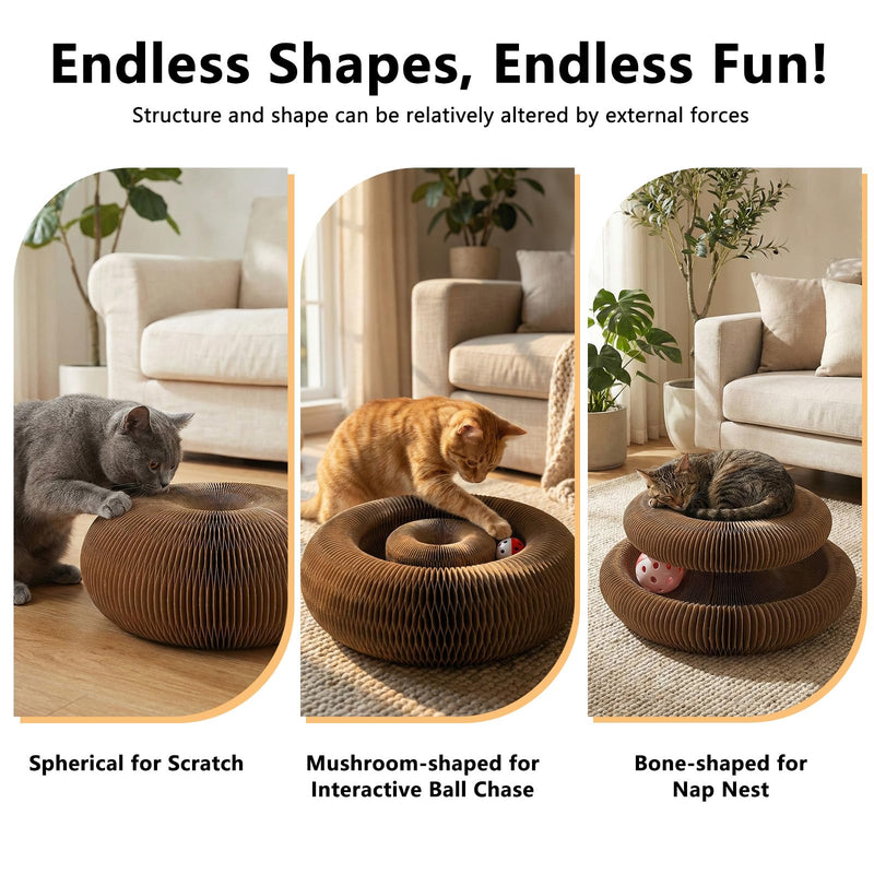 2-Pack Kitty Curls Cat Scratcher, Magic Organ Cat Toy with Catnip Ball for Indoor Cats – Foldable and Durable Honeycomb Design, Interactive Twisty Paws Cat Toy for Endless Play, Chase & Scratch 2 pcs - PawsPlanet Australia