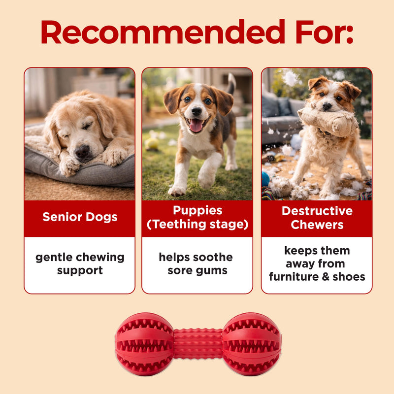 JAYU PET Toothbrush Toy Dog Chew Toy for Aggressive Chewers, Durable Dental Toy for Small & Medium Dogs, Teeth Cleaning Toy to Keep Them Busy, Remove Plaque & Tartar - PawsPlanet Australia