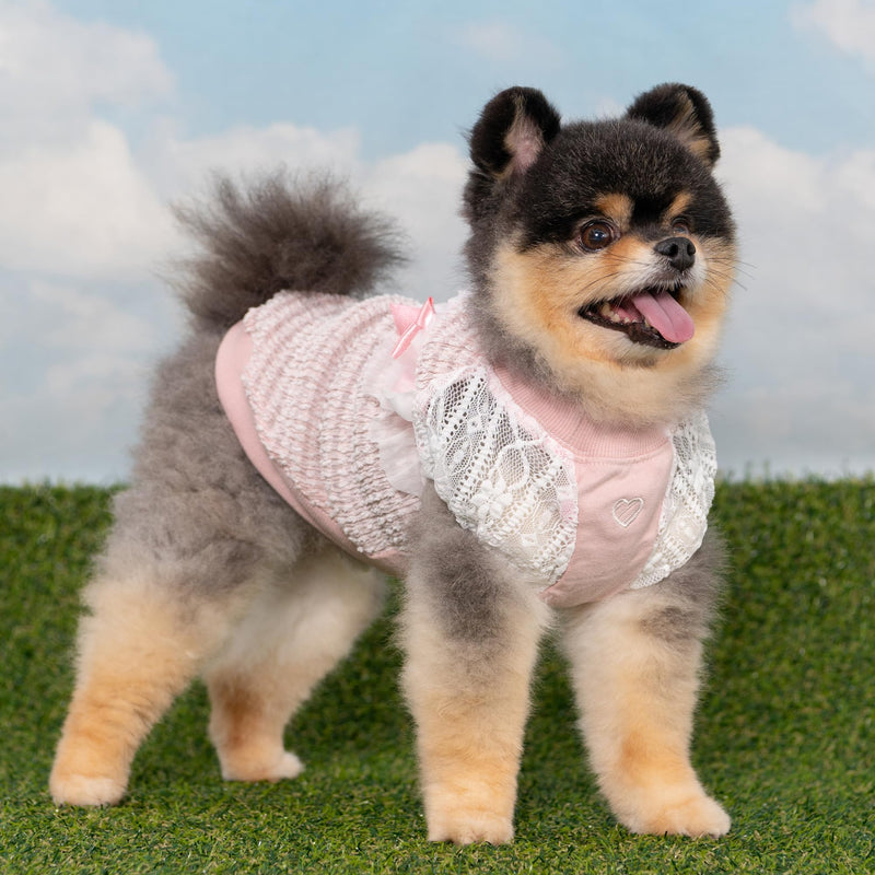 Pinkaholic New York Mary Dog Shirt Round NeckTrendy Fashionable Cute Dog Apparel for Small Dogs, Pink, Medium Pink_Mary - PawsPlanet Australia