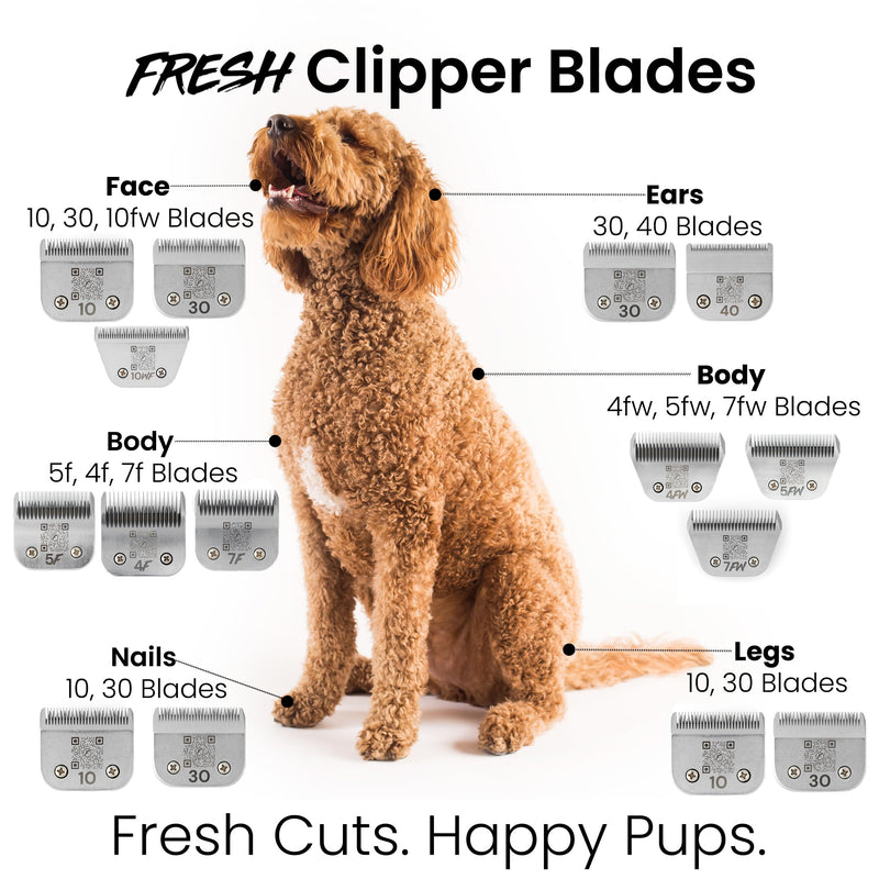 Fresh 10 Dog Grooming Blade, 1/16" (1.5mm) Cut, Fits Andis, Oster, Wahl A5 Detachable Clippers, High-Carbon Steel with Chrome Coating, Sharp & Durable Blade for at-Home or Professional Pet Grooming - PawsPlanet Australia