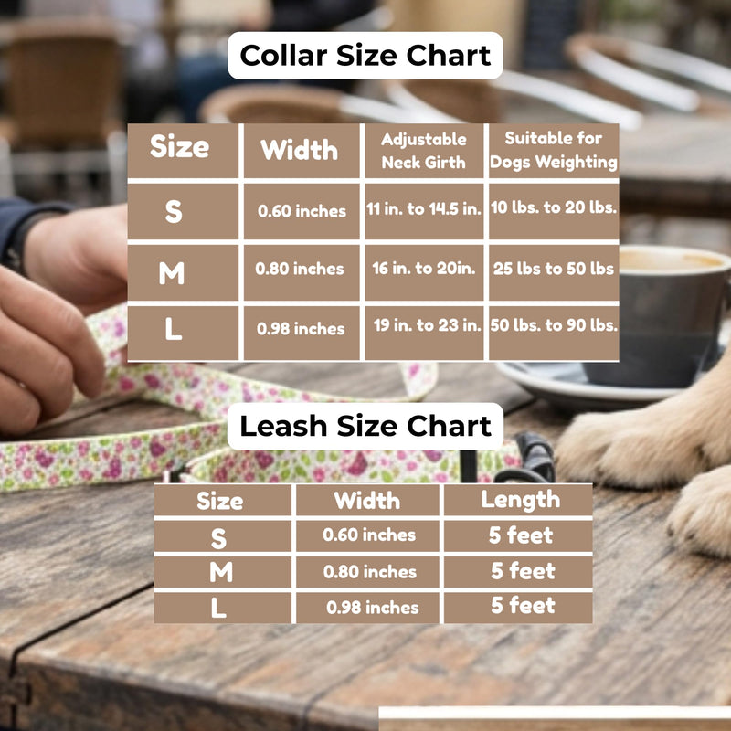 BOLDPET® Dog Collar and Leash Set - Durable Adjustable Puppy Collar with Secure Metal Buckle and 5 ft Length - Professional Grade Polyester for Small Medium and Large Dogs - PawsPlanet Australia