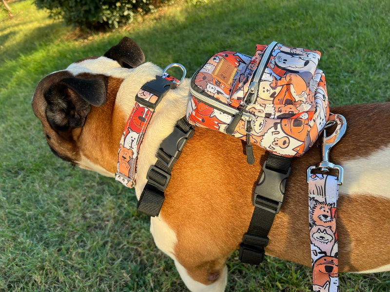 PawLook Design Dog Backpack Harness with Leash-Stylish Dogbagpack-Poop Bag Dispenser Dog Backpack-Dog Self Carrier Backpack-Dog Bag Vest with D-Ring-Backpack for Dogs to Wear-1 Piece (Paws, S) Paws - PawsPlanet Australia