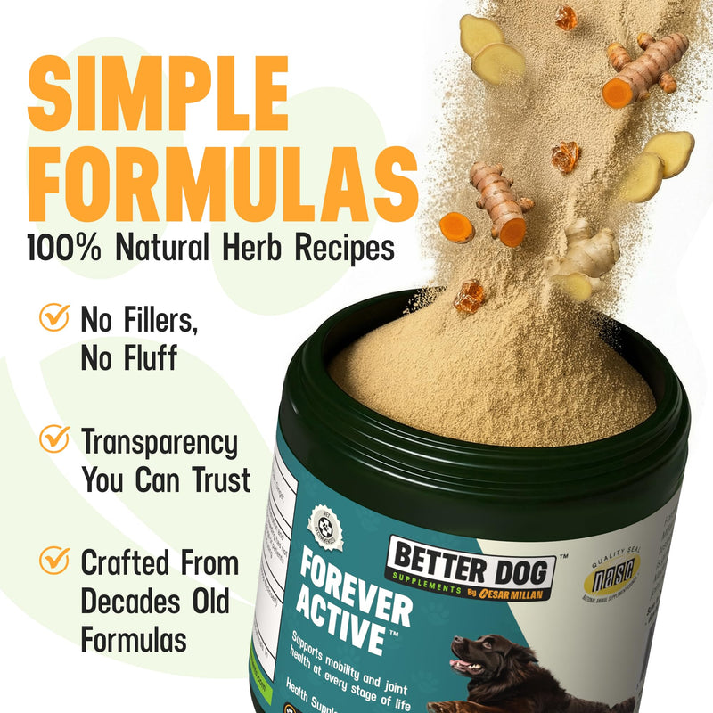 Better Dog Supplements Forever Active by Cesar Millan – Natural Hip & Joint Support Powder for Dogs – Mobility, Flexibility & Comfort with Boswellia, Devil’s Claw & Herbal Blend – 4oz (60-Day Supply) - PawsPlanet Australia