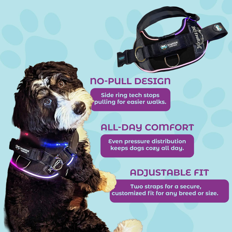 Joyride Harness LED Light Up Dog Harness 2.0 - Patent Pending Design, 3 LED Modes, Vibrant Rechargeable Lighting, Customizable Name Tag Area, and Convenient On/Off Button for Enhanced Pet Safety Black X-Small - PawsPlanet Australia
