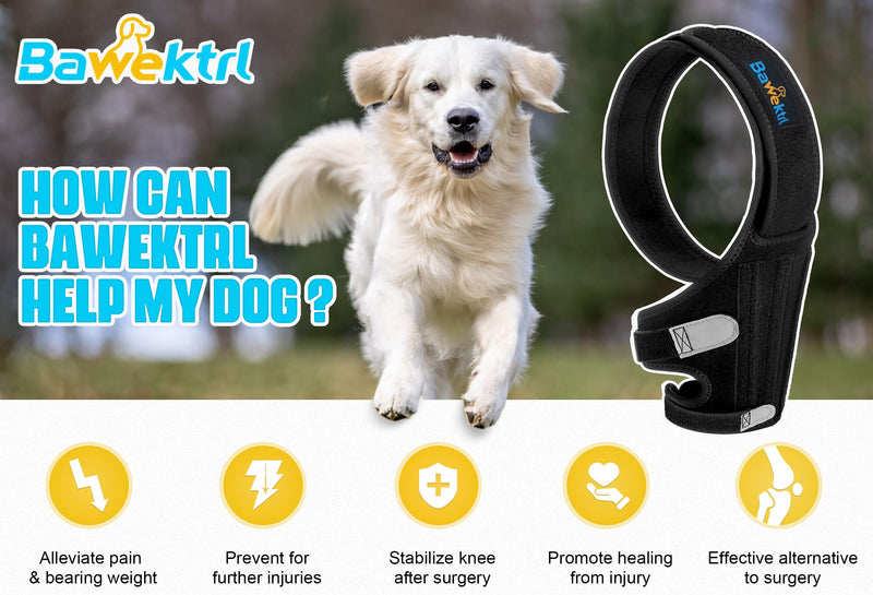 Dog Knee Brace for Torn ACL Hind Leg, Rear Leg Brace Support for Cruciate Ligament Injury, Joint Pain and Muscle Sore, Easy to Put On and Off Dog Braces for Back Leg L - PawsPlanet Australia