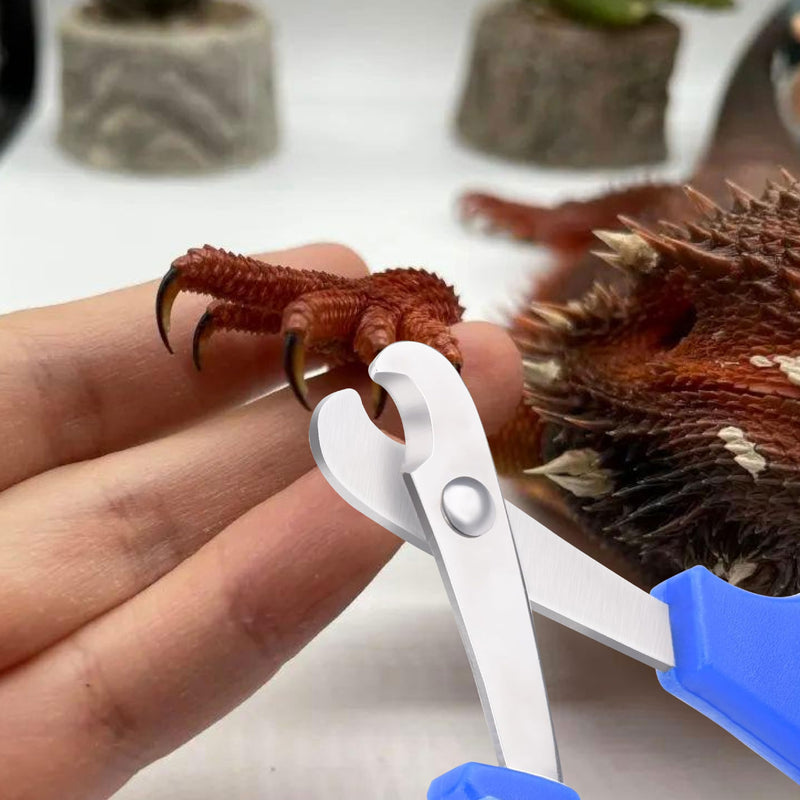 Bearded Dragon Nail Clippers with Precise Angled Edges, Stainless Steel Bearded Dragon Toe Nail Clippers Cat Claw Clippers with Nail File Paw Trimmer, Bearded Dragon Accessories Pet Grooming Tools - PawsPlanet Australia