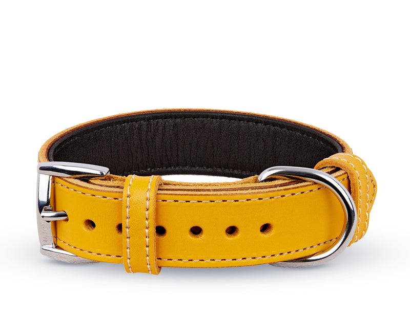 Soft Leather Dog Collar | Dog Collars for Small, Medium and Large Dogs | Durable Heavy Duty Dog Collars X-Large: Neck 19.7"-22.8" Yellow - PawsPlanet Australia