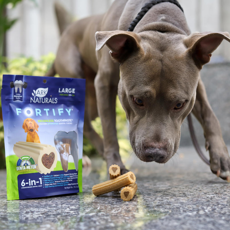 Ark Naturals Fortify Brushless Toothpaste – Large Breeds, 18oz Bag – Dog Dental Chew with Calcium, Omegas & Beef Marrow Center – Support Strong Teeth and Freshen Breath with Dental Chews for Dogs Large Breed - PawsPlanet Australia