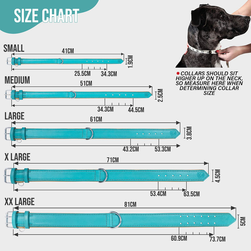 Riparo Genuine Leather Padded Dog Heavy Duty K-9 Adjustable Collar XL Aqua - PawsPlanet Australia