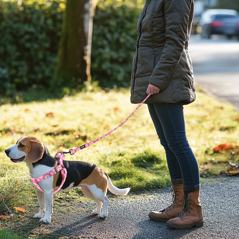 QQPETS Dog Harness Leash Set Adjustable Heavy Duty No Pull Halter Harnesses for Small Medium Large Breed Dogs Back Clip Anti-Twist Perfect for Walking (XS(12"-18" Chest Girth), Daisy) XS(12"-18" Chest Girth) - PawsPlanet Australia