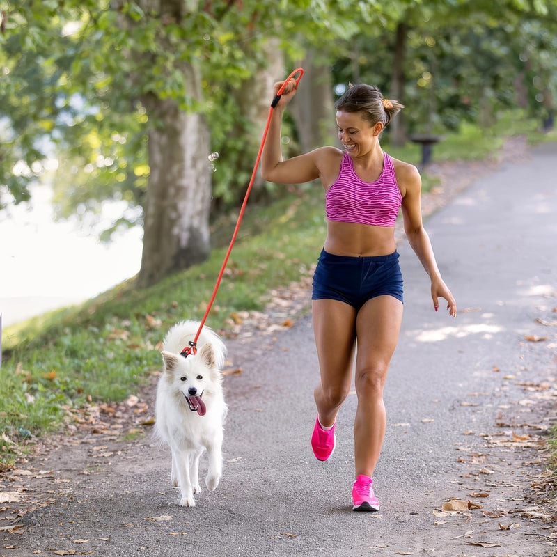 6-Piece Premium No-Pull Dog Slip Leads 4.6ft Adjustable, Pastel Hues (Yellow/Pink/Green/Lt Pink/Blue/Orange) - Easy On/Off, No Collar Needed, Vibrant for Small/Medium Dogs (Walking/Training) - PawsPlanet Australia