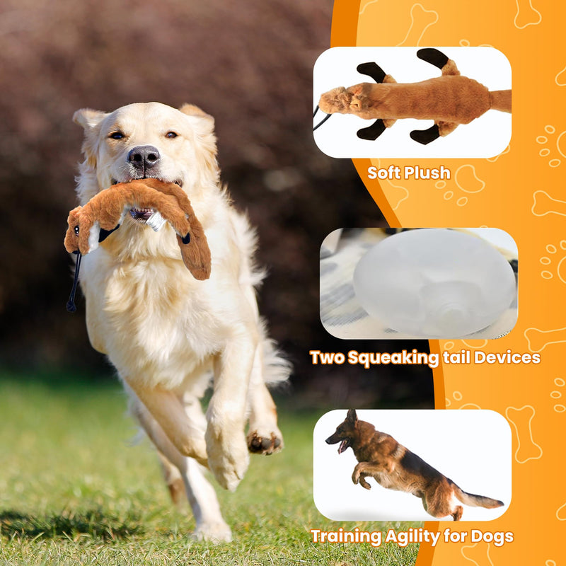 Flirt Pole for Dogs, Interactive Dog Toys Extendable Teaser Wand with Lure Chewing Toy, Chase and Tug of War for Small Medium Large Dogs Training Playing Exercise 2 Switch-40.5 inch - PawsPlanet Australia