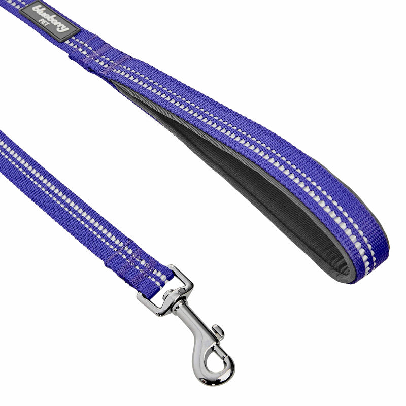 Blueberry Pet 3M Reflective Pastel Color Dog Leash with Soft & Comfortable Handle, 5 ft x 3/4", Violet, Medium, Leashes for Dogs Large