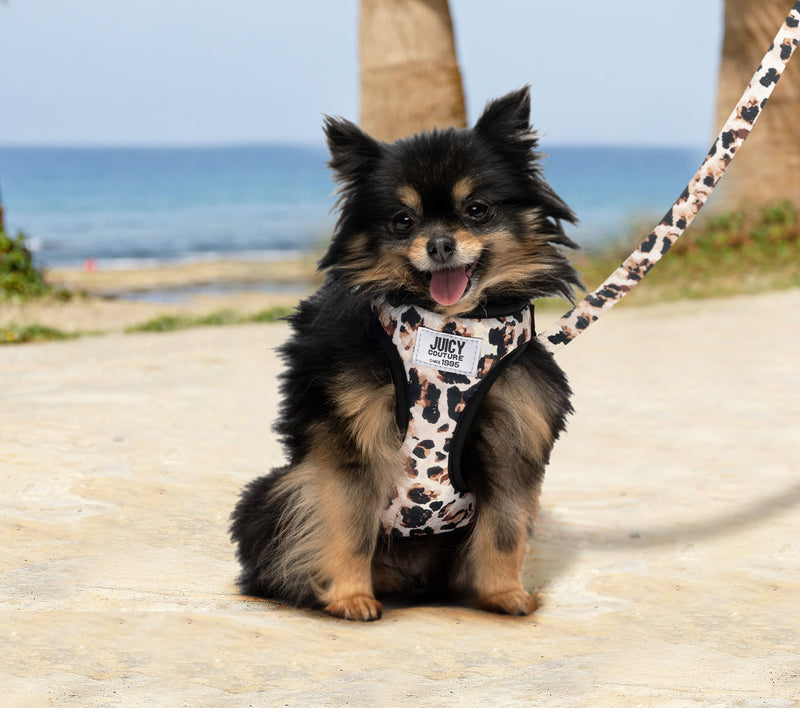 Juicy Couture Leopard Print Dog Harness and Leash Set – Adjustable Puppy Harness with Puppy Leash & Mesh Padding Dog Harness, Large - PawsPlanet Australia