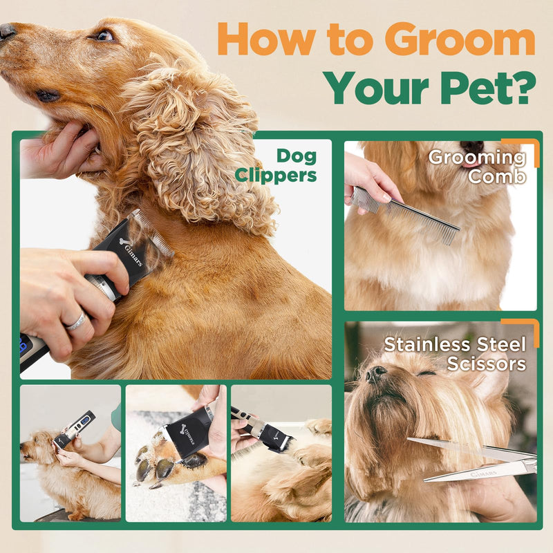 Gimars 2 in 1 Ceramic Blade Dog Grooming Clippers with Small Trimmer, Upgraded 7000 RPM Powerful Motor Quiet Rechargeable Dog Shaver Hair Clippers Kit with Comb, Scissors USB Cordless Electric Clipper Gold 4 in 1 - PawsPlanet Australia