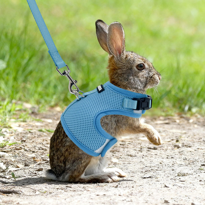 AIITLE Lightweight Escape Bunny Harness and Leash Set - Air Mesh Vest with Double D-Rings, Adjustable & Magic Tape Design, for Ferret/Cat/Puppy Training and Hiking Adventures, Blue L - PawsPlanet Australia