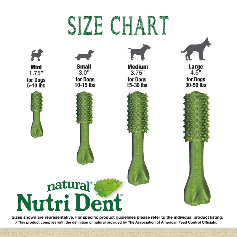 Nylabone Nutri Dent Natural Dental Chews for Dogs, Limited Ingredient Dog Treats Made in the USA, Clean Teeth & Fresh Breath, Healthy Dog Chews, Fresh Breath Flavor, For X-Small Dogs, (160 Count) Fresh Mint 27.2 Ounce (160 Count) - PawsPlanet Australia