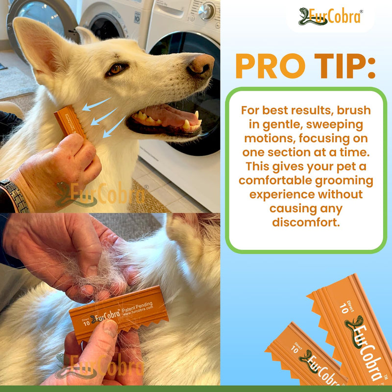 Direct 10 Pet Grooming Brush 3.54" - Gentle, No Metal Blades, Portable Soft Dog, Cat Brush - Train Pets to be Brushed - Slicker Grooming Tool for Puppy, Kitten, Cat Hair, Dog Hair - PawsPlanet Australia