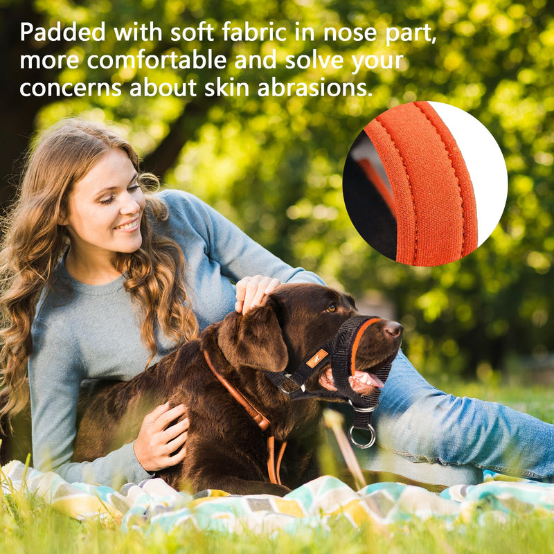 Dog Head Collar with Soft Fabric, Head Harness Stops Dog Pulling, Head Leash for Small Medium Large Dogs Walking(M, Black) M - PawsPlanet Australia