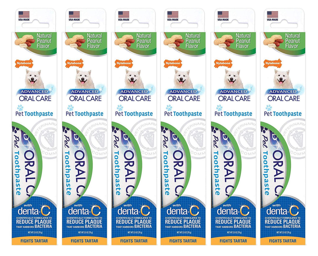 Nylabone Advanced Oral Care Natural Toothpaste