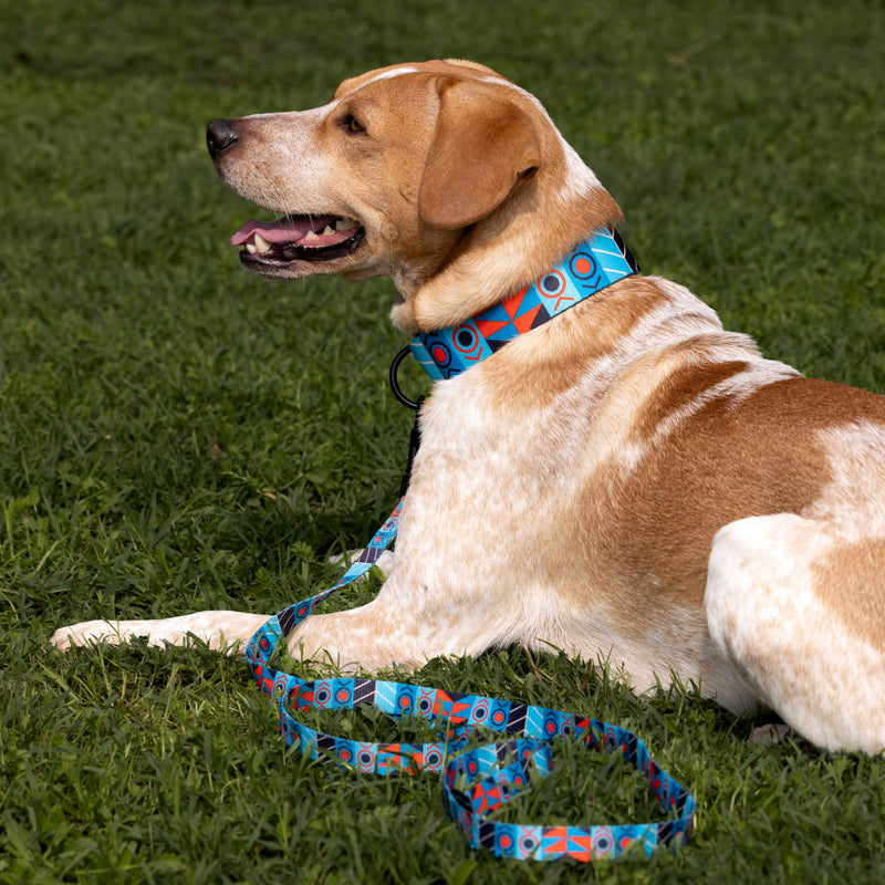 CollarDirect Nylon Dog Leash 5ft Tribal Pattern Durable Walking Pet Leashes for Dogs Small Medium Large Puppy (Pattern 2, S, New) - PawsPlanet Australia