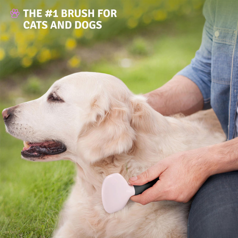 Poodle Pet Detangling Pet Comb + Black Slicker Brush Bundle - PawsPlanet Australia
