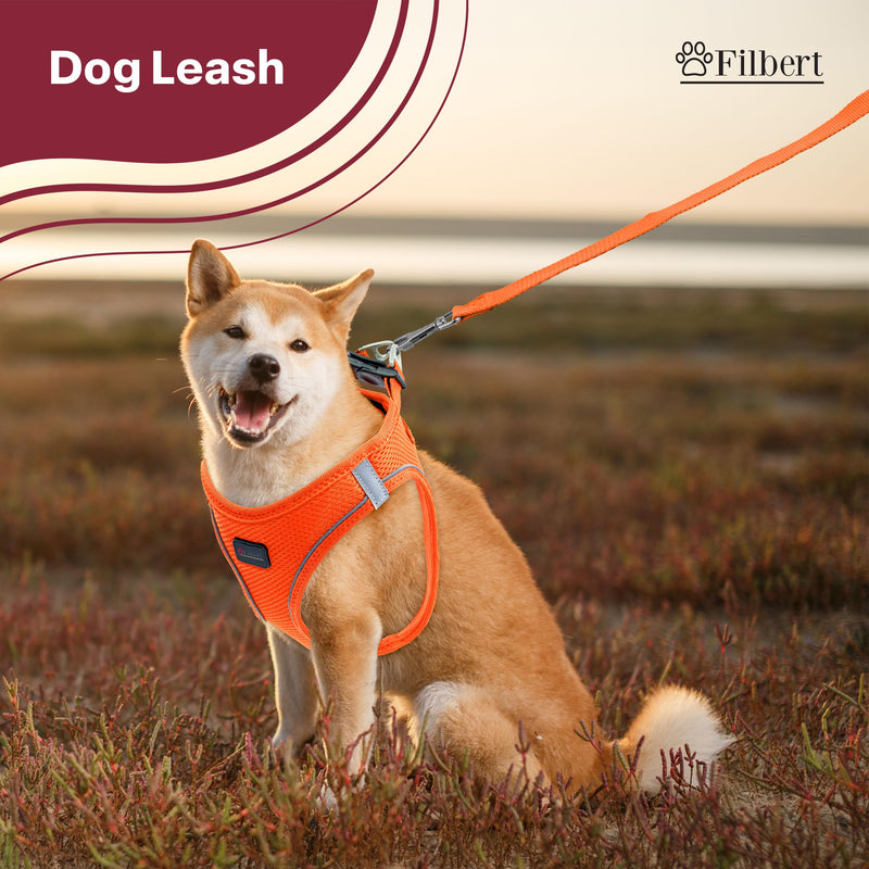 Filbert Nylon Dog Leash, Heavy Duty Leash, for Medium and Small Dogs, 3/4 inch X 4.6ft Strong and Durable, Traction Rope, Orange Neon Orange - PawsPlanet Australia