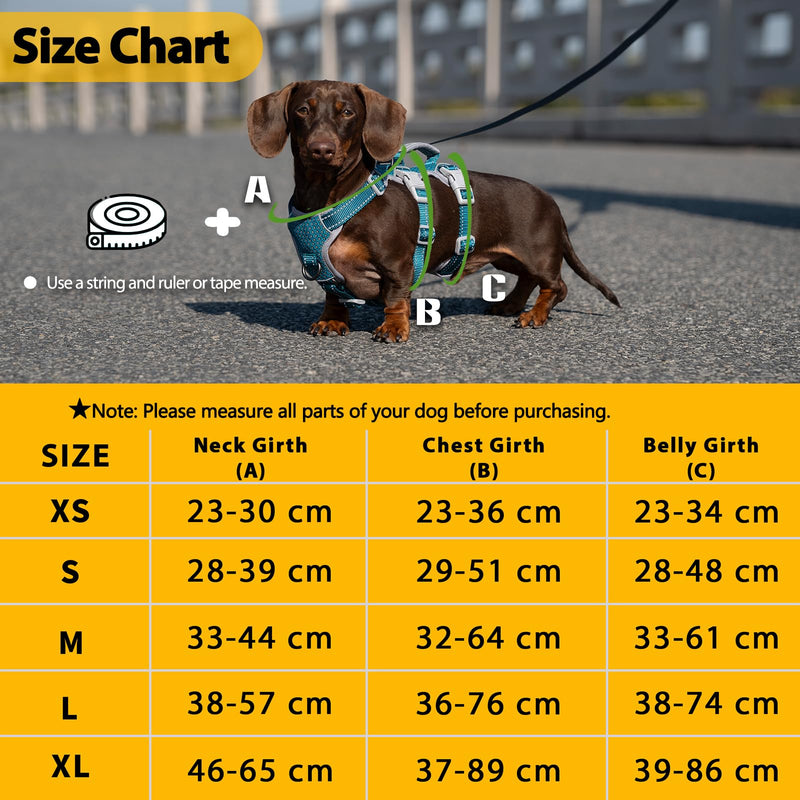 Huntboo Escape Proof Dog Harness, Secure Dog Harness No Escape, Fully Reflective Harnesses with Handle, Breathable, Durable, Adjustable Vest for Small Dogs Walking, Training & Running Gear(Teal,XS) X-Small(Pack of 1) Blue - PawsPlanet Australia