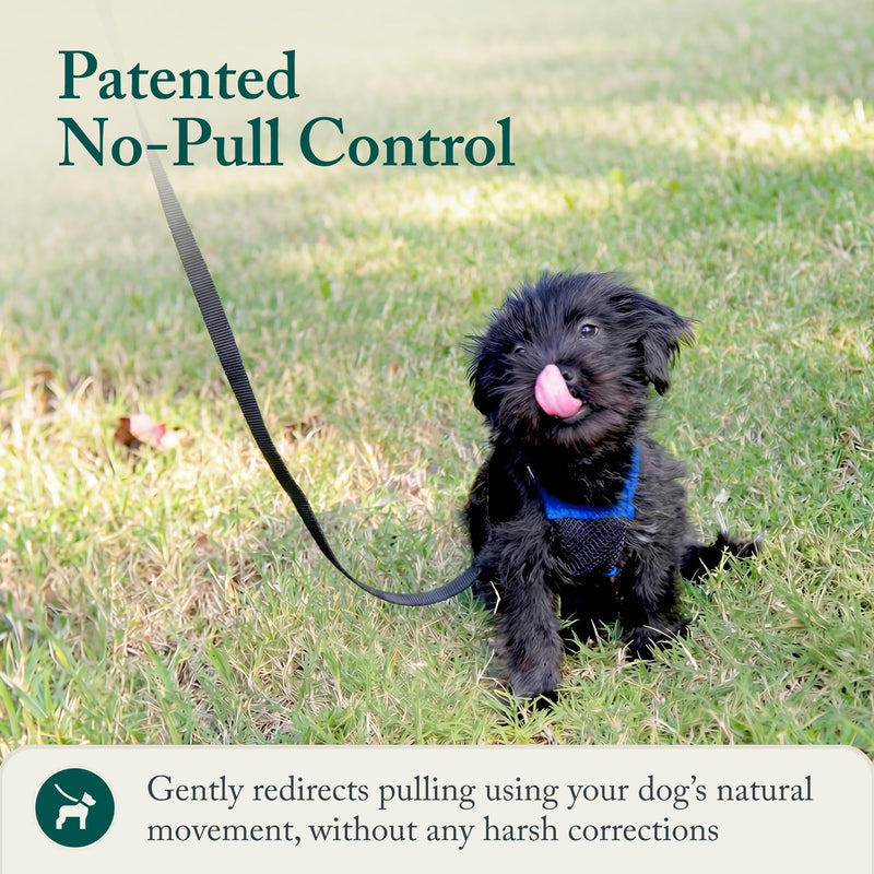 SPORN Mesh Non Pull Dog Harness Small Blue, Perfect for Training-Stops Dogs from Pulling and Choking on Walks for Small, Medium and Large Dogs, Puppy Harness, No Pull Harness, No Choke Harness - PawsPlanet Australia