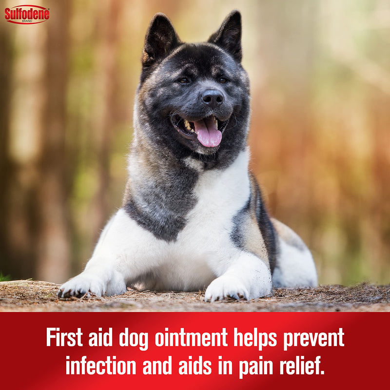 Dog Wound Care Ointment, Relieves Pain & Prevents Infection For Dog Cuts, Scrapes, Bites and Injuries, 2 Ounce - PawsPlanet Australia