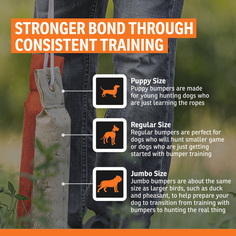 SportDOG Canvas Dummies - Hunting Dog Training Tool - Game Scent Absorber - Water-Ready Bumper - Durable Field Dummy - Weighted Toy - Puppy Size - 2.25" W X 8.5" L - Natural 1 Count (Pack of 1) - PawsPlanet Australia
