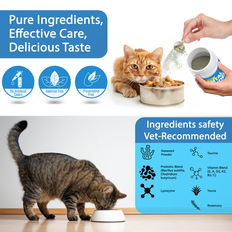 Cat Dental Care Powder Bad Breath Treatment for Cats Teeth, Mouth, Gums & Gut, Plaque Off,Tartar Control, Help Feline Gingivitis and Stomatitis, with Natural Extracts & Probiotics Cat Dental Powder - PawsPlanet Australia