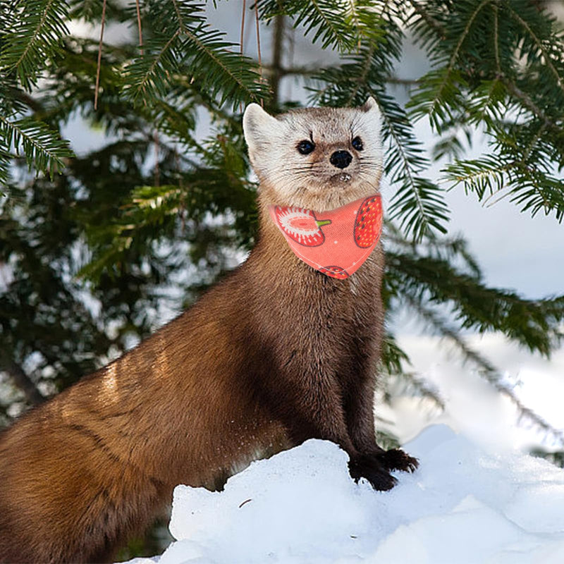 2-Pack Ferret Bandana Collar & Bibs, Quick Release Buckle, Fruit Pattern, Small Size, Red & Pink - PawsPlanet Australia