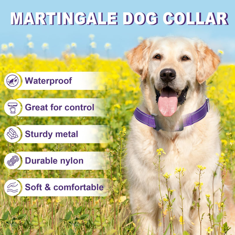 Martingale Collar for Dogs,Reflective Martingale Dog Collars with Quick Release Buckle,Adjustable Nylon No Pull Dog Collar for Walking Training(Purple, Medium) Purple - PawsPlanet Australia
