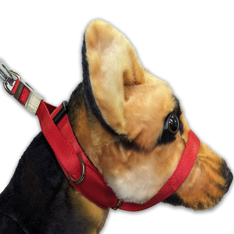 PetsProMax Dog Headcollar for Pulling & Reactive Dogs – No-Pull Training Collar with Behind-Head Leash Hook for Peaceful Walks, Instantly Stops Pulling Without Choking or Pinching (Red, L) Large (L) Red - PawsPlanet Australia