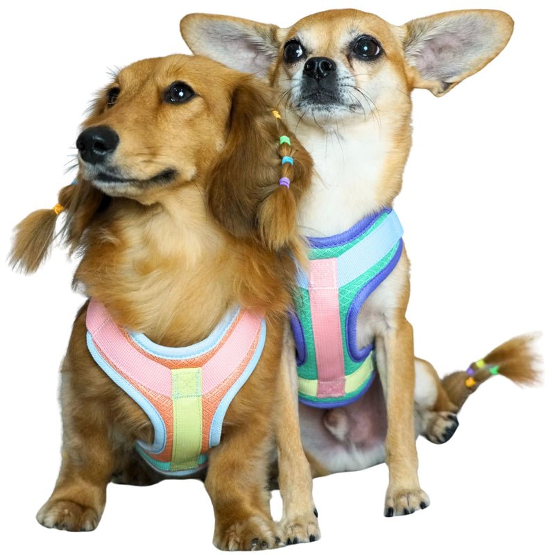 Blueberry Pet Vibrant Mesh Padded Ultra Cool Lightweight Dog Harness Vest in Coral, Small, Neck 15¾", Chest 14¾"~21" - PawsPlanet Australia