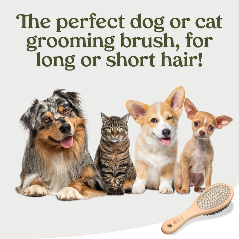PAWFUME 2-in-1 Cat & Dog Brush – Sculpt Salon-Soft Coats in Minutes – Rubber-Tipped Pins, Smooth Tangles, Wood-Handle Comfort, & Gently Massages Skin – Doubles as a Cat Brush for All Breeds - PawsPlanet Australia