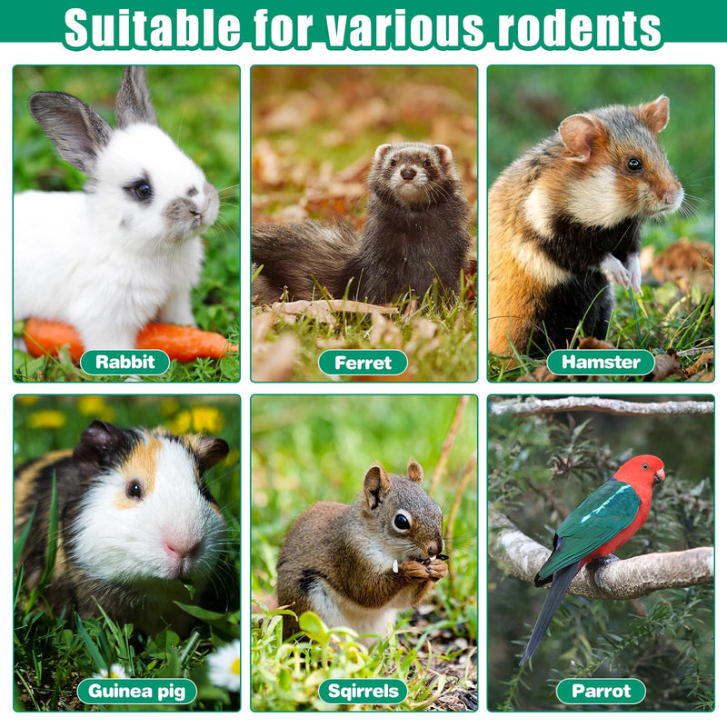Saillong 1 Pack Rabbit Water Bottle, 32 oz No Drip Heated Water Bottle for Rabbits, Hamster, Guinea Pigs, Ferrets, Birds, Mouse, Cockatiel, Rats, Other Small Animal Pet No Leak No Mess Mount Drinker - PawsPlanet Australia