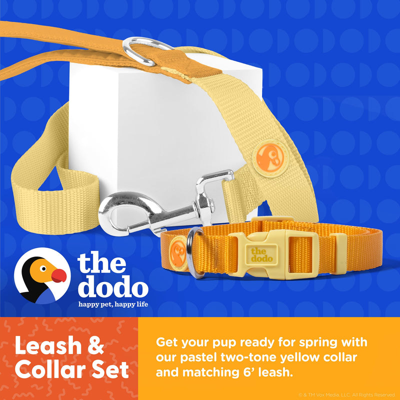 The Dodo All Nylon Yellow Collar and Leash Set - Small; Matching Cute Leash and Collar Set; Waterproof Dog Leash and Collar Set, Perfect for Beach Day or Trips to The Lake - PawsPlanet Australia